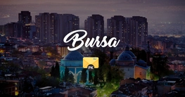 Bursa